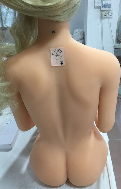 Original Sex Robot Busty Carloni 5ft 1' (157 cm)/ G-Cup - Ai-AiTech |  Naughty Harbor