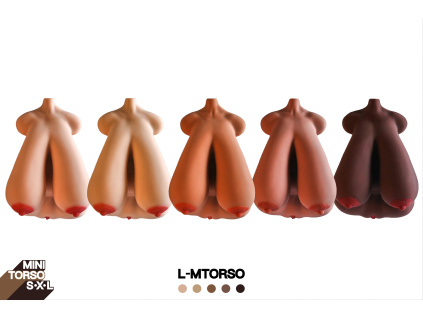 L MTorso 6