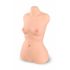 Torso small breast 2